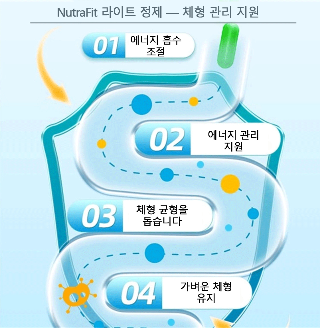 NutraFit 제품 정보 11