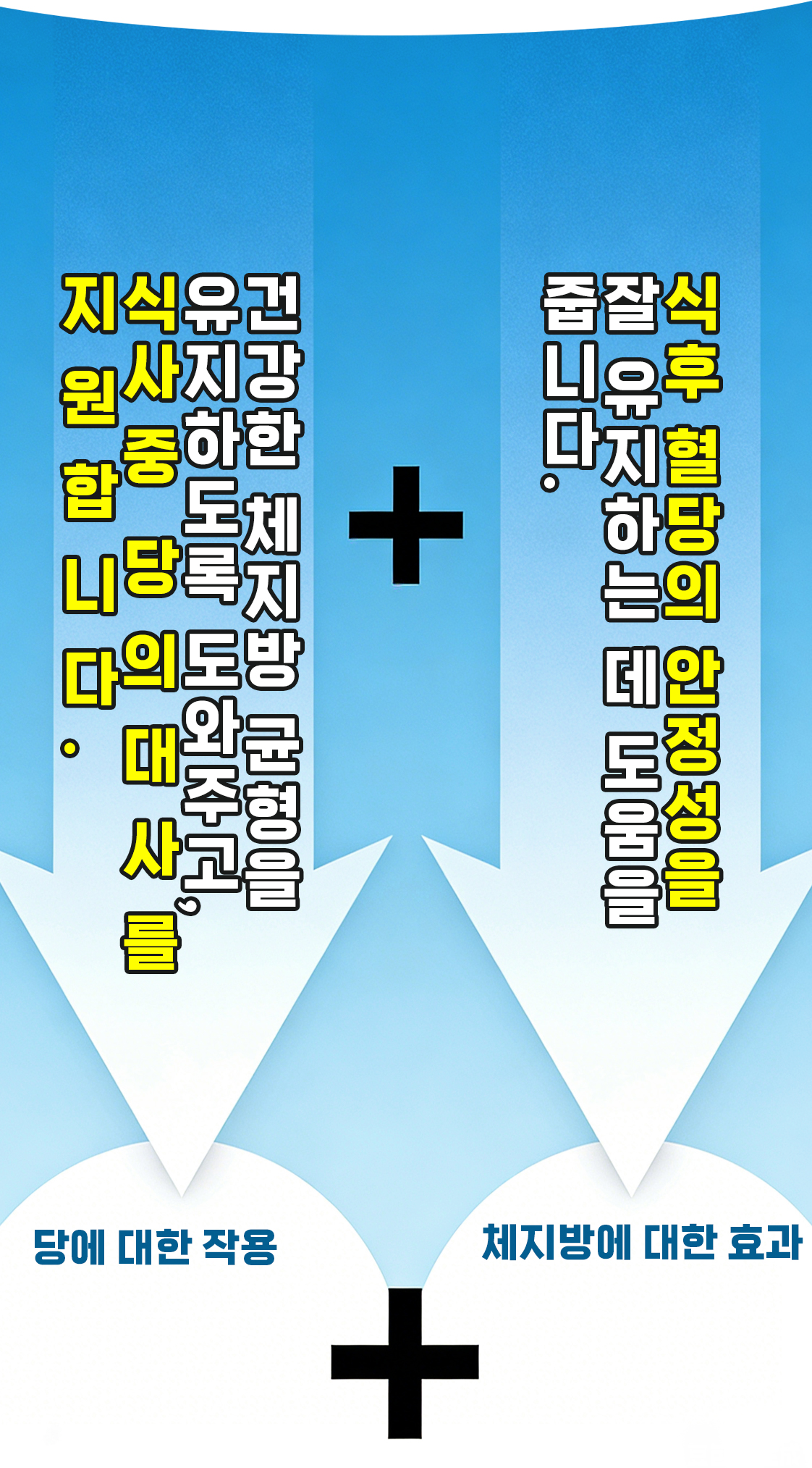 NutraFit 제품 정보 3