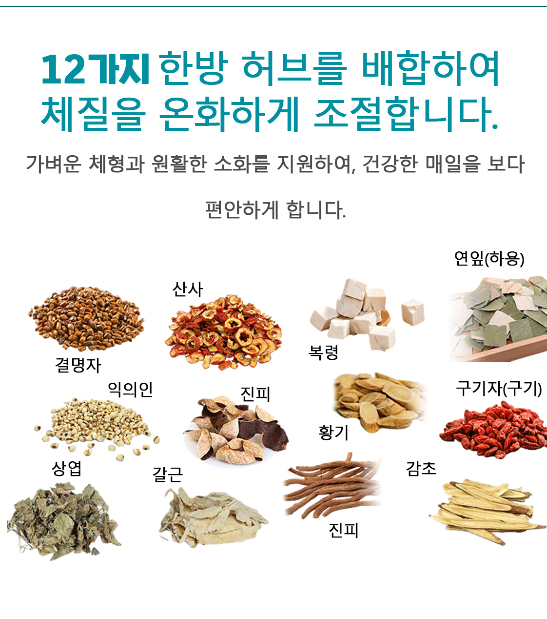 NutraFit 제품 정보 9